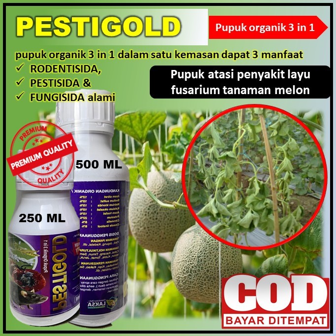 Jual Di Order Pupuk Hama Atasi Penyakit Layu Fusarium Tanaman Melon