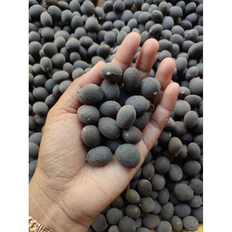 Jual Buah Keranji Asam Manis Kg Shopee Indonesia