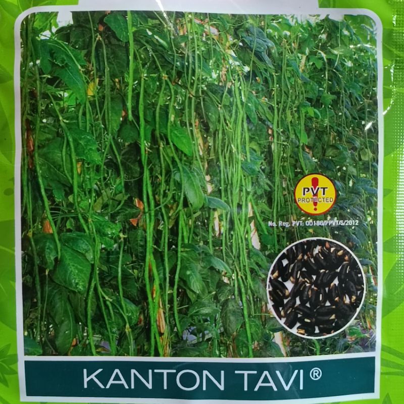 Jual Benih Kacang Panjang Kanton Tavi Isi Butir Shopee Indonesia