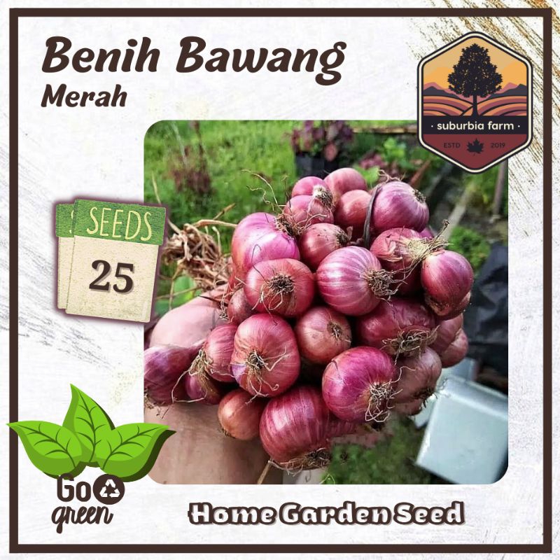 Jual 25 Biji Benih Bawang Merah Lokananta Bibit Bawang Shopee Indonesia