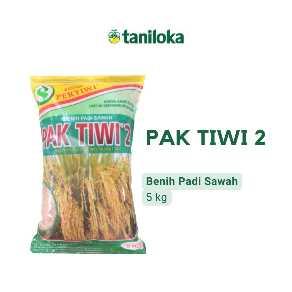 Jual Benih Pertiwi Benih Padi Pak Tiwi 2 5 Kg Shopee Indonesia