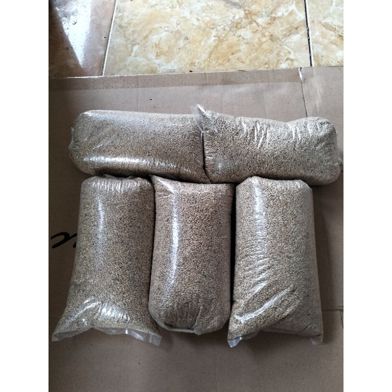 Jual Peromo Benih Rumput Gajah Mini Kg Shopee Indonesia