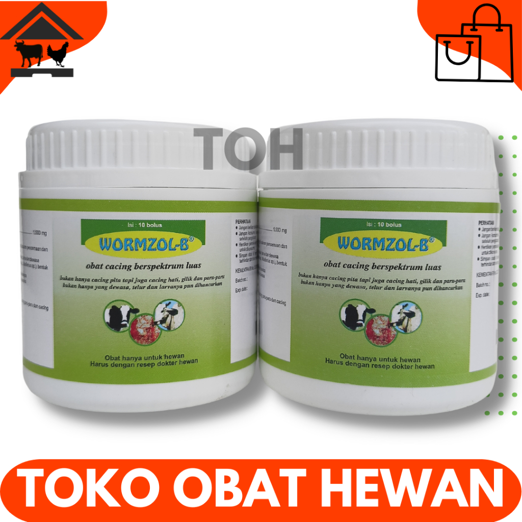 Jual WORMZOL B 10 BOLUS POT Obat Cacing Cacingan Sapi Kerbau Kuda