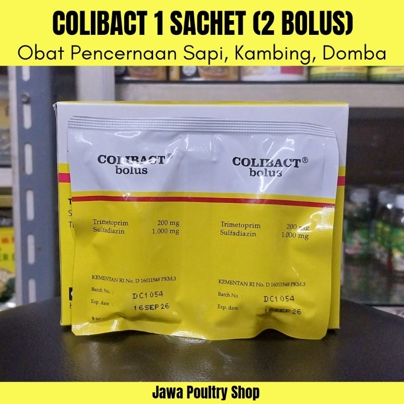 Jual Colibact Bolus Original Isi Bolus Obat Pencernaan Dan Mencret