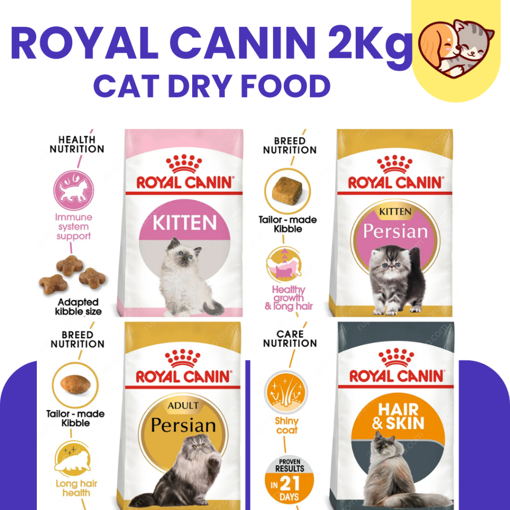 Jual Royal Canin Kitten Kg Royalcanin Kitten Persian Adult Kg Rc