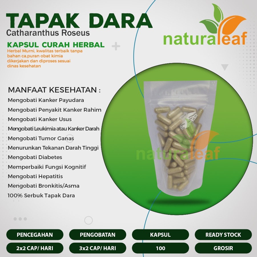 Jual Kapsul Curah Herbal TAPAK DARA Kanker Tumor Insomnia 100 Capsul