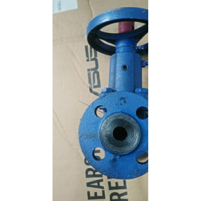 Jual GLOBE VALVE CAST IRON PN 16 BOA BELLOW 1 2 INCH ORYGINAL Shopee