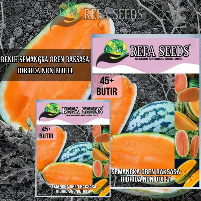 Jual REFA 45 BIJI Benih Semangka Oren Raksasa Non Biji Original