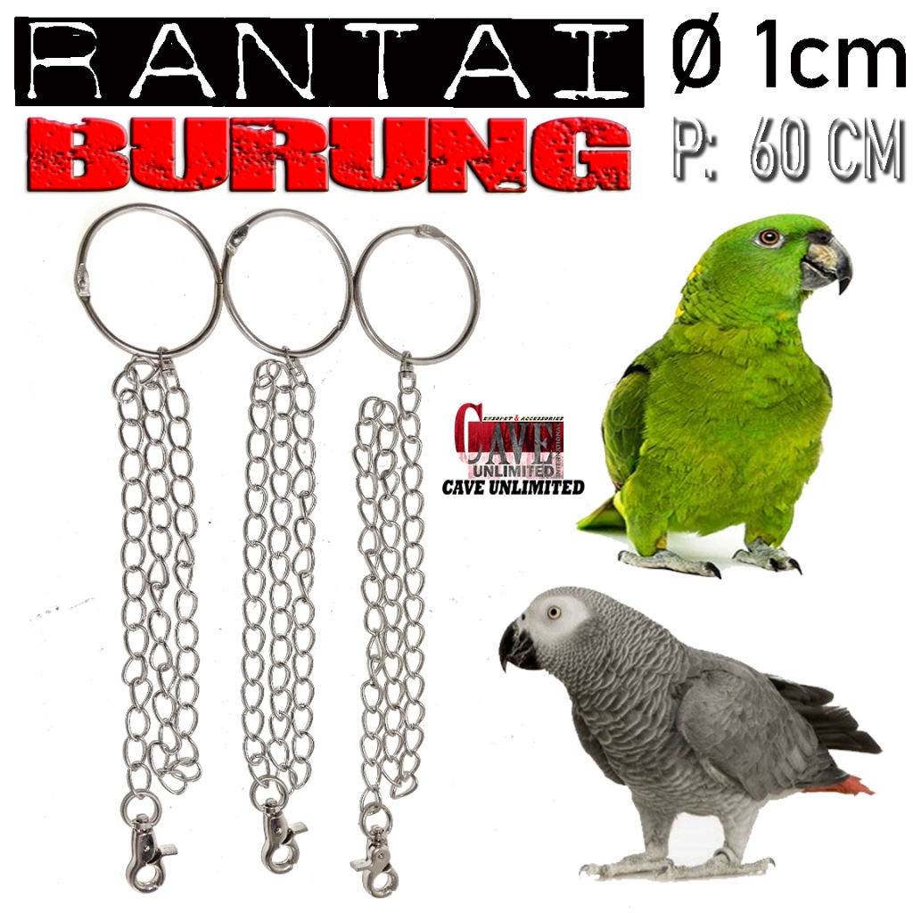 Jual Rantai Borgol Ring Kaki Burung Kakatua Parbeng Betet Burung Hantu