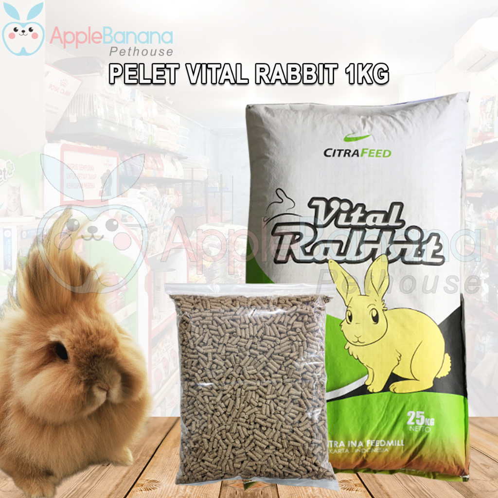 Jual Vital Rabbit 1 Kg 1kg Pelet Citra Feed Makanan Kelinci Pellet