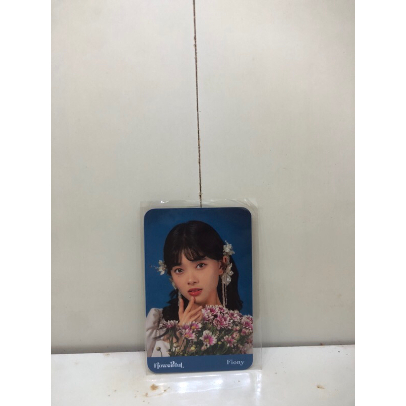 Jual Photocard Jkt Fiony Flowerfull Official Shopee Indonesia