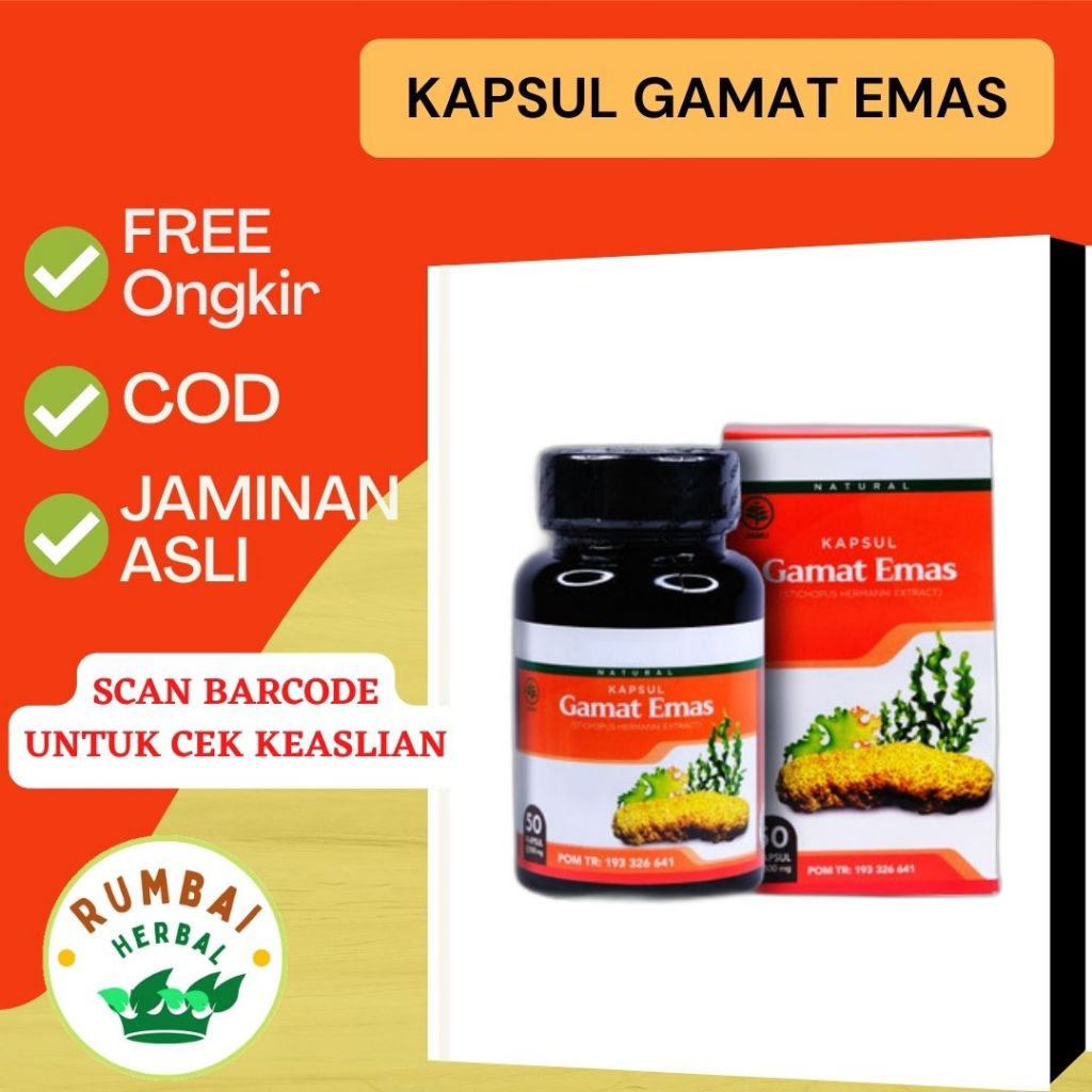 Jual Kapsul Gamat Emas Acep Herbal Goldmax Pekanbaru Riau