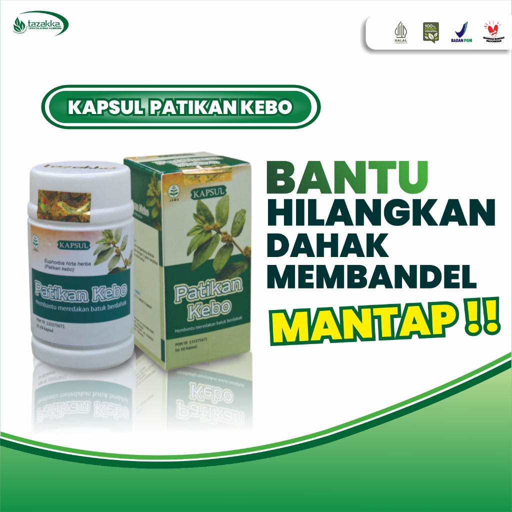 Jual Obat Paru Paru Patikan Kebo Ekstrak Herbal Tazakka Original Isi 60