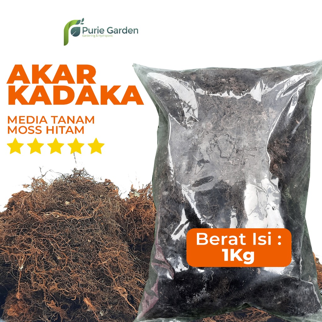 Jual Media Tanam Moss Hitam Akar Kadaka 1Kg PG KDR Shopee Indonesia