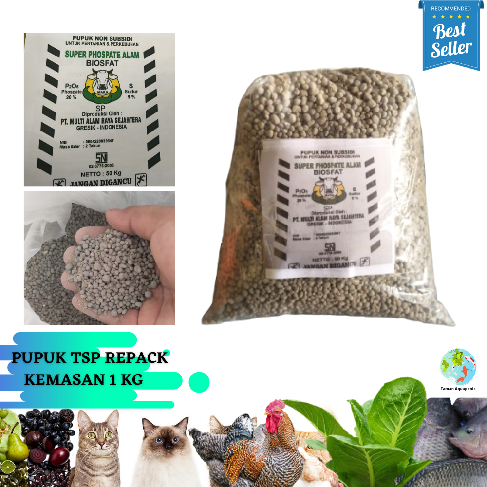 Jual Pupuk Tsp Kemasan Repack Shopee Indonesia