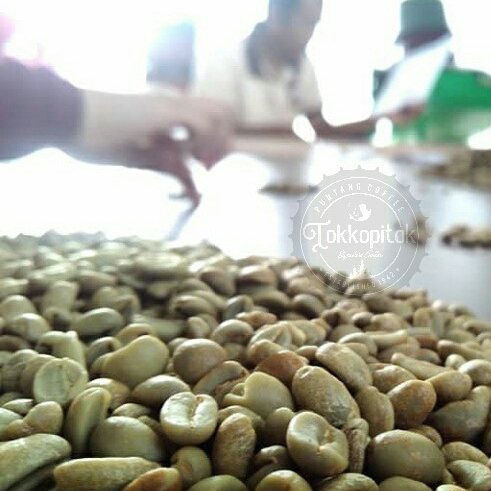 Jual Biji Kopi Arabika Puntang Natural Proses Green Beans Arabica