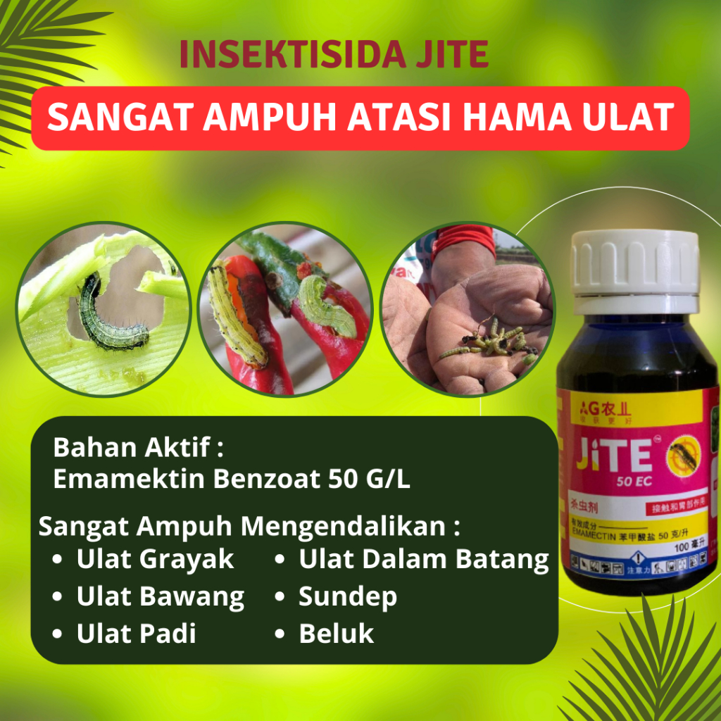 Jual Insektisida Jite Efektif Mengatasi Hama Ulat Tanaman Bahan Aktif