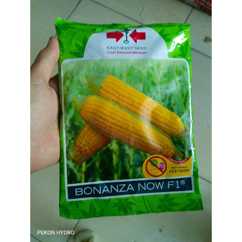 Jual Benih Jagung Manis Bonanza Now F Isi Cap Panah Merah