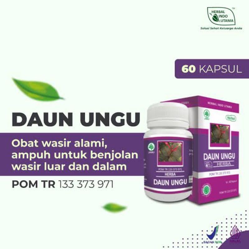 Jual DAUN UNGU Herbal Indo Utama 60 Kapsul Original Shopee Indonesia