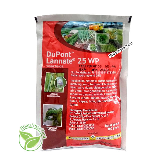 Jual Insektisida LANNATE 25WP 100 Gram DUPONT Pestisida Pembasmi Hama