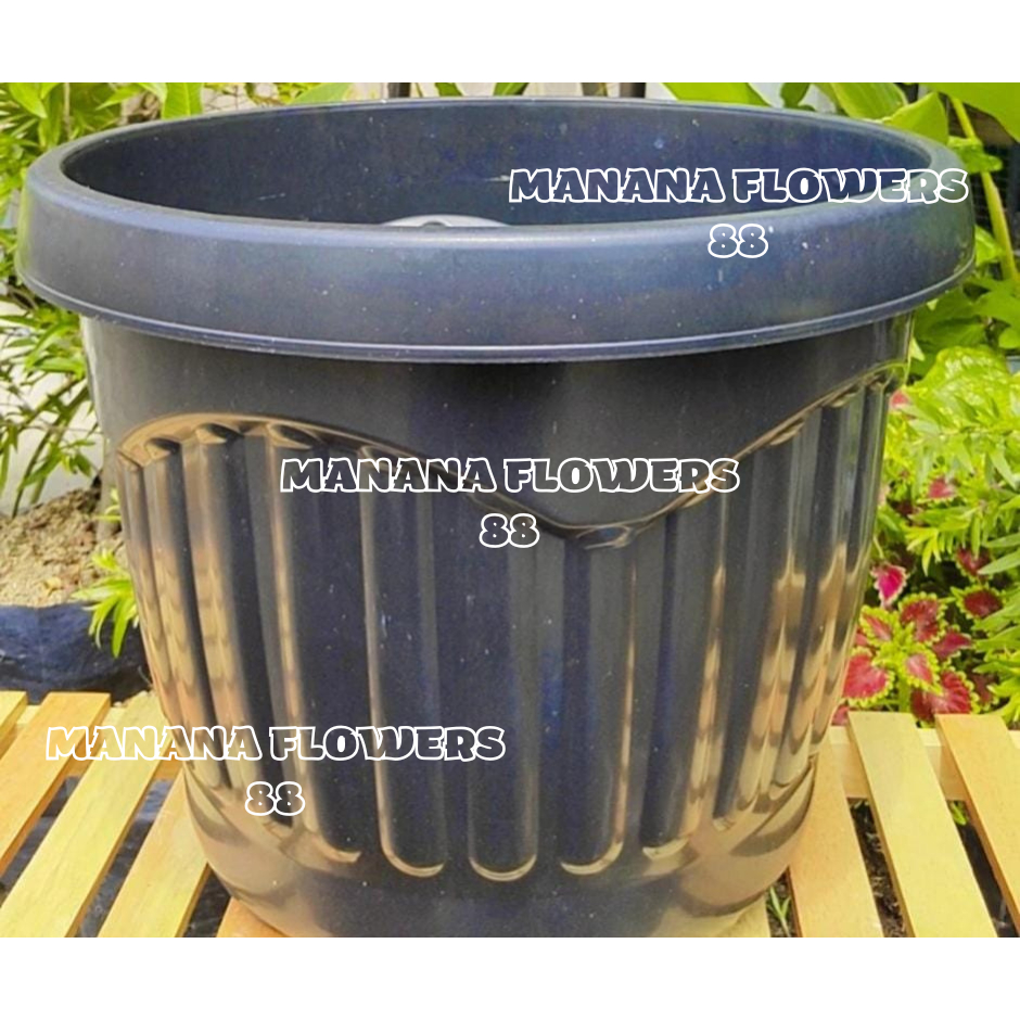 Jual POT HITAM 45 CARGO POT EKO POT BUNGA POT TANAMAN Shopee