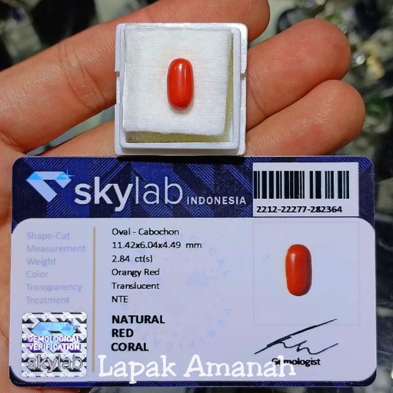 Jual Batu Akik Natural Red Marjan Asli Original Red Coral Shopee