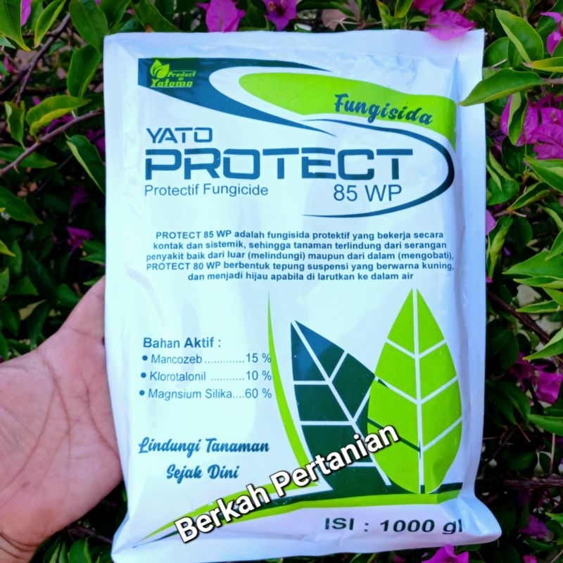 Jual Fungisida Protect Wp Kemasan Baru Bahan Aktif Mancozeb