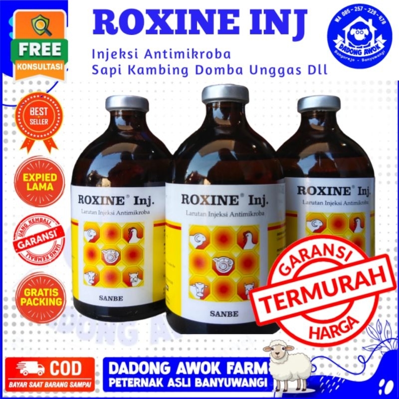 Jual Roxine Injeksi Ml Antibiotik Infeksi Pernafasan Sapi Kambing