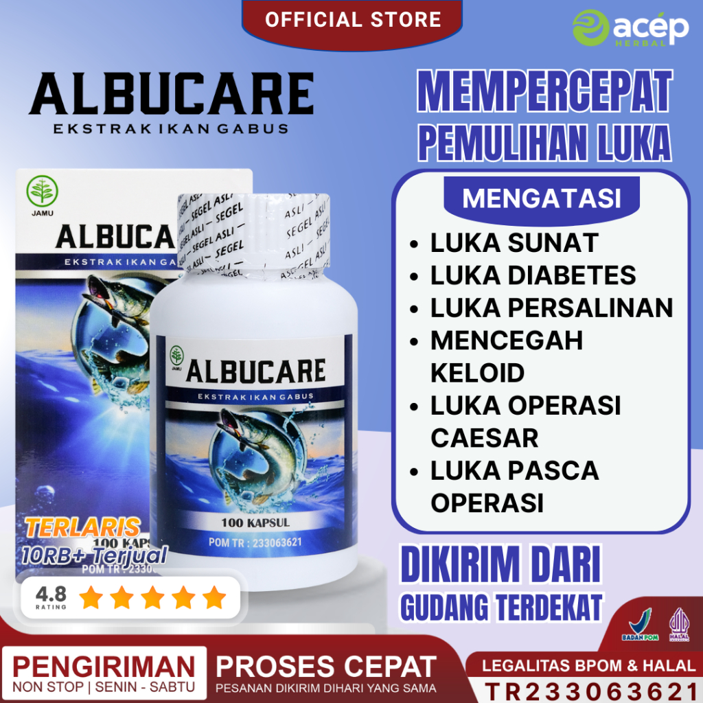 Jual Albucare Kapsul Kutuk Ikan Gabus Albumin Obat Pengering Luka Pasca