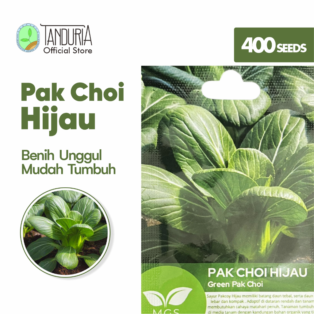 Jual Tanduria Benih Sayur Pokcoy Hijau Bok Choy Pakcoy By Mix Garden