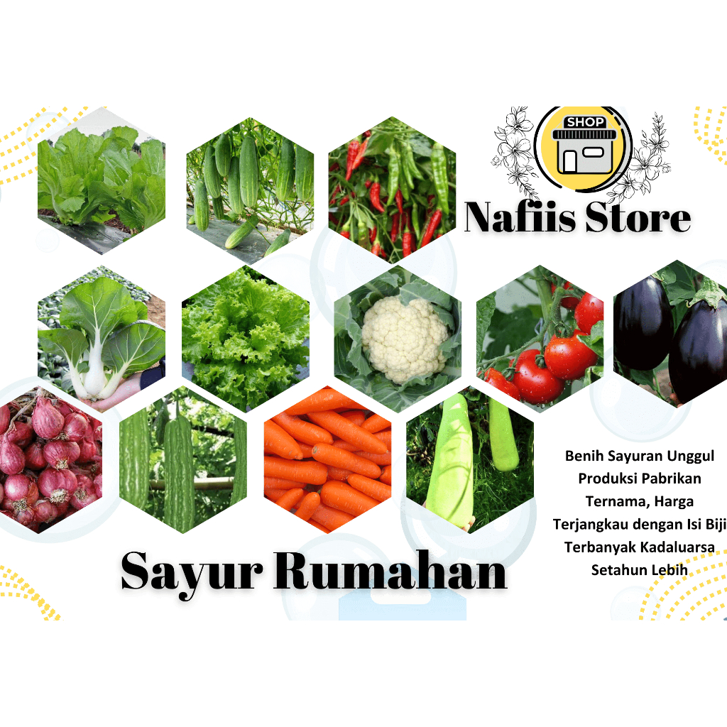 Jual Aneka Benih Sayur Sayuran Rumahan Paket Lengkap Varian Unggulan