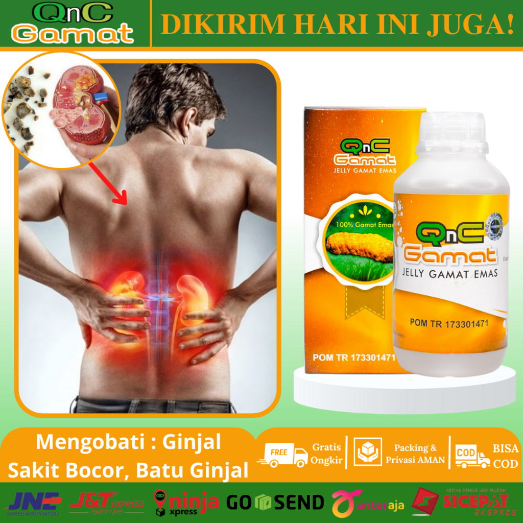 Jual Obat Batu Ginjal Herbal Penyakit Ginjal Kronis Gagal Ginjal