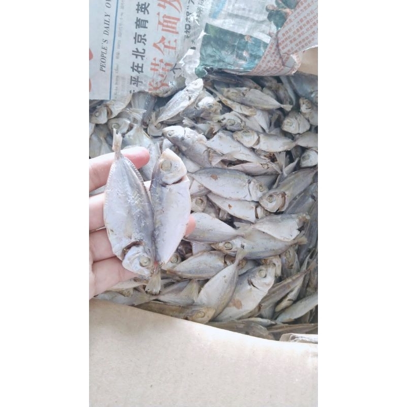 Jual IKAN ASIN SELAR REBUS Shopee Indonesia