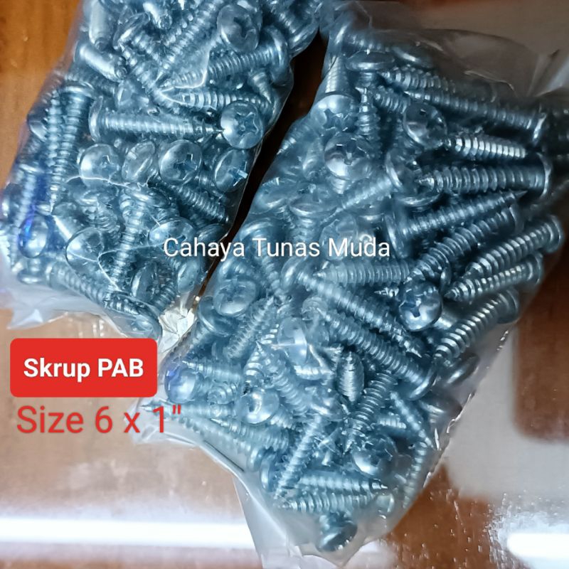 Jual Sekrup PAB 6x1 Isi 100pcs Self Tapping Screws Shopee Indonesia