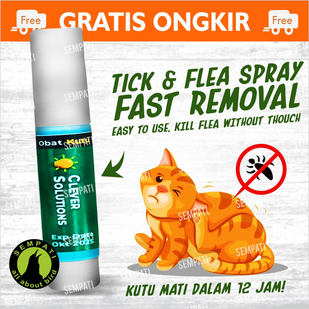 Jual Clever Solutions Obat Tetes Kutu Kucing Cat Kitten Anabul Pembasmi