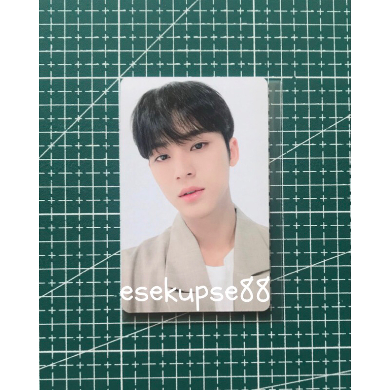 Jual Photocard Pc Mingyu Seventeen F Ck My Life Carver Face The Sun