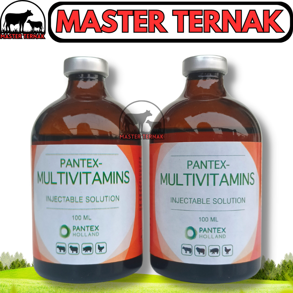 Jual PANTEX MULTIVITAMIN 100ml Injeksi Multivitamin Obat Injeksi