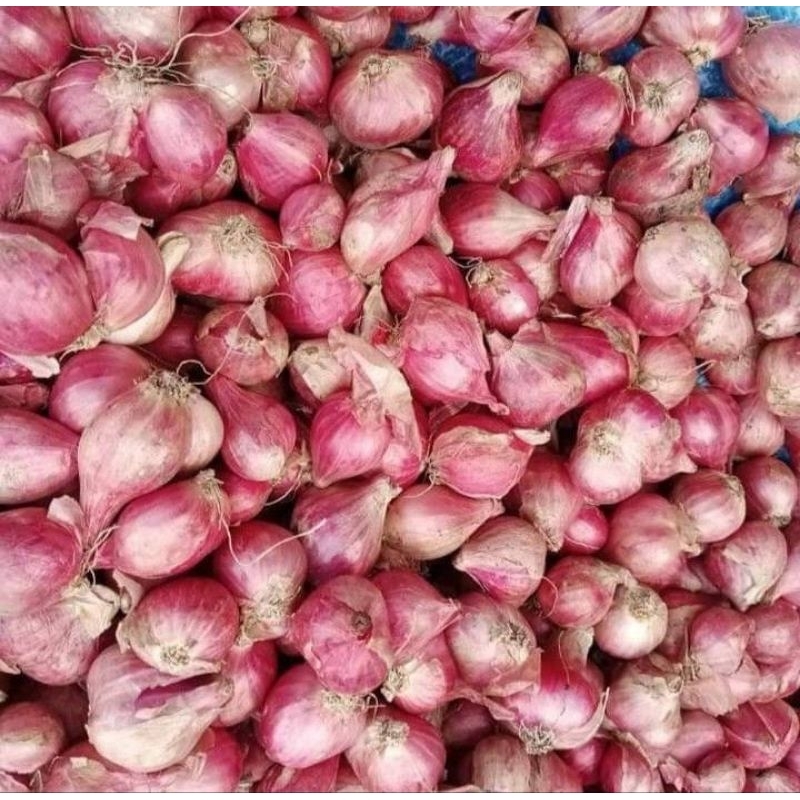 Jual Bawang Merah Brebes 1kg Shopee Indonesia