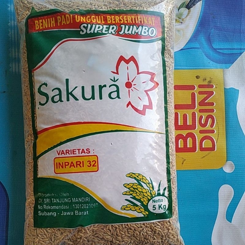 Jual Benih Padi Inpari Jumbo Kg Shopee Indonesia