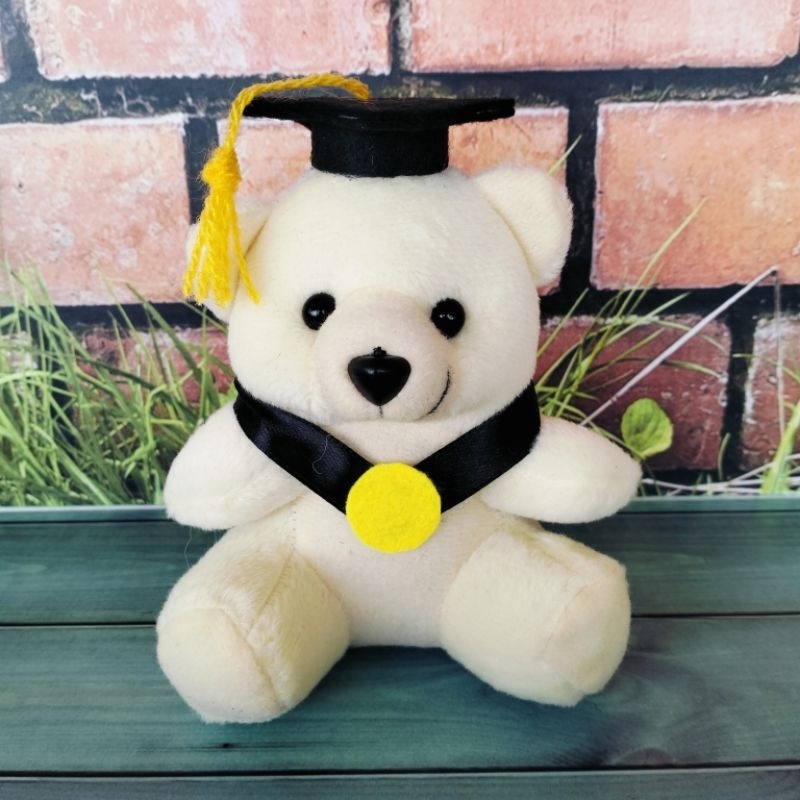 Jual Boneka Teddy Bear Wisuda Beruang Wisuda Mini Tinggi Cm Shopee