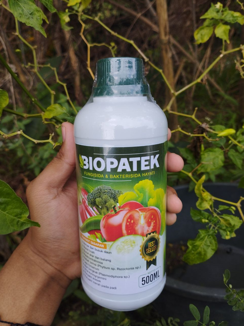 Jual OBAT RONTOK MUDA PADA BUAH PALA Terbaik Isi 500 ML BIOPATEK