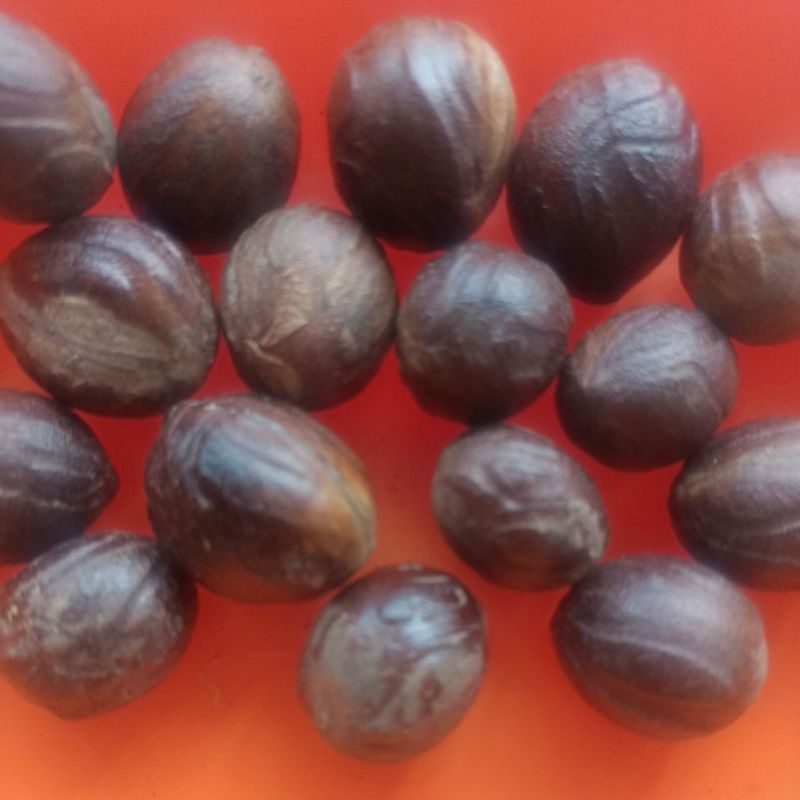 Jual 250 Gram Buah Biji Pala Utuh Bumbu Rempah Khas Minang Shopee