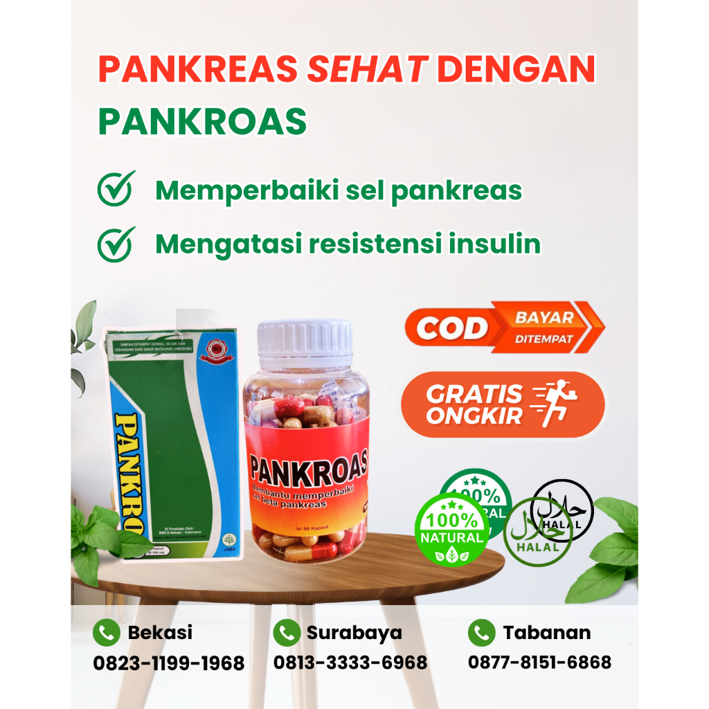 Jual Pankroas Kecil Kapsul Obat Diabetes Alami Obat Gula Basah