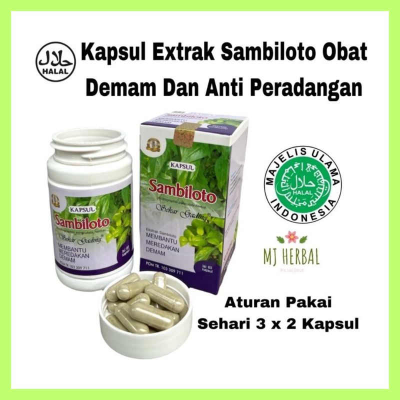 Jual BPOM KAPSUL CURAH DAUN SAMBILOTO KAPSUL ANTI FLU MERIANG CAPEK