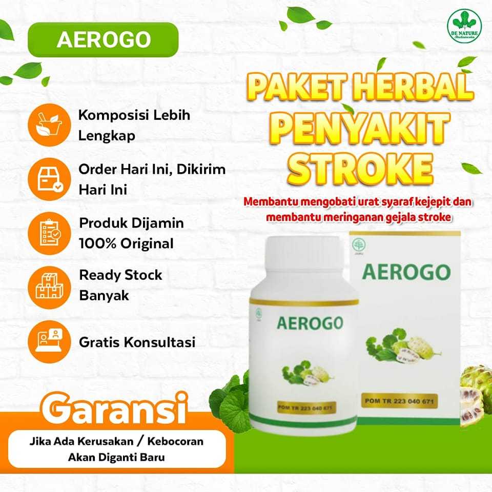 Jual Aerogo Original Obat Stroke Saraf Kejepit Parkinson Tremor