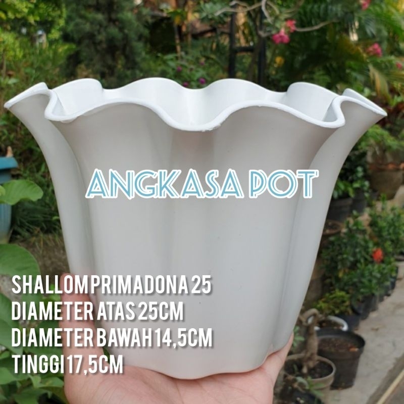 Jual Pot Tanaman Shallom Primadona Pot Bunga Tebal Pot Gelombang