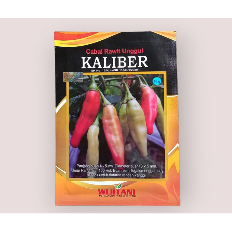 Jual BENIH CABE CABAI KALIBER RAWIT 10 Gr Original Shopee Indonesia