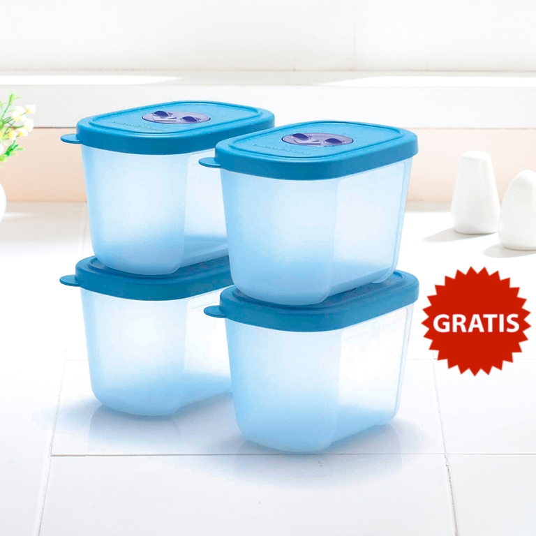 Jual Tupperware Mini Freezermate With Dial 290mL Toples Shopee Indonesia