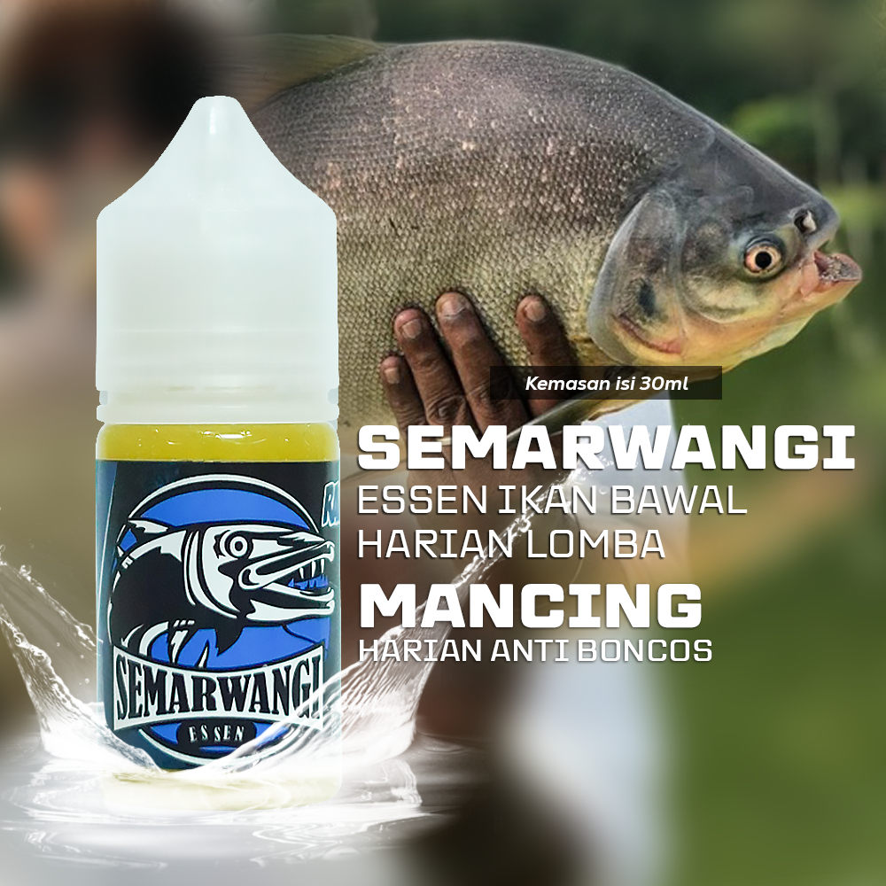 Jual Semarwangi Essen Ikan Mas Harian Lomba Dibawah Kg Kemasan Ml