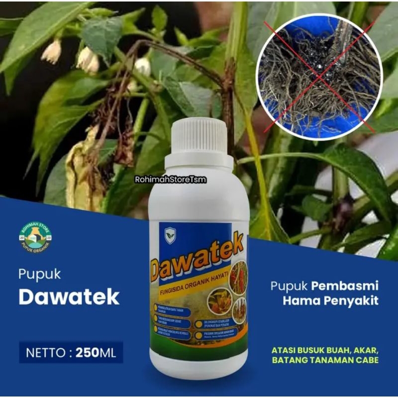 Jual Dawatek Fungsida Hayati Obat Hama Penyakit Busuk Batang Akar Patek